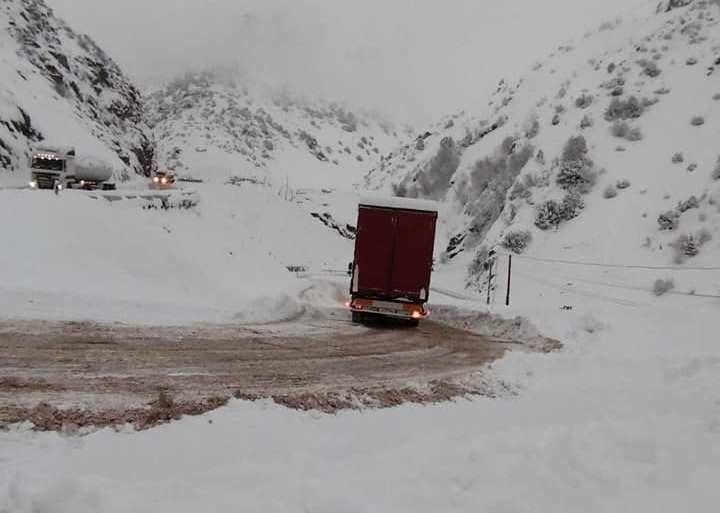 322373413_1631664983954863_6634794478252797061_n