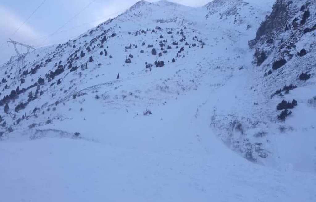 324505872_2138076153055215_1202546308854327882_n