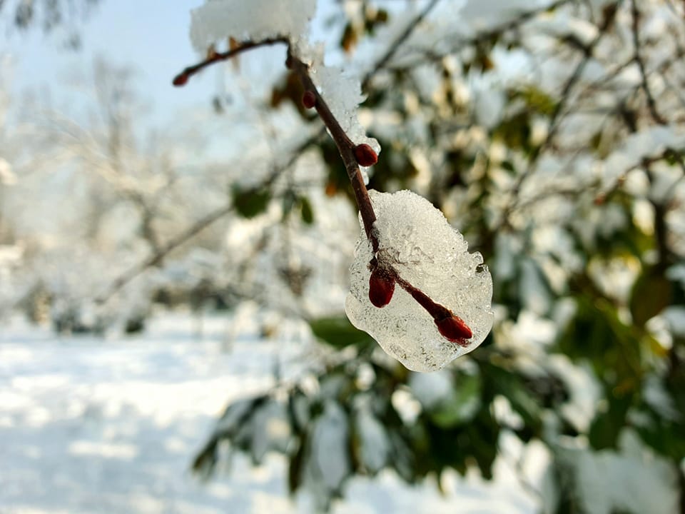 325752145_892446868608179_8858855391764573970_n