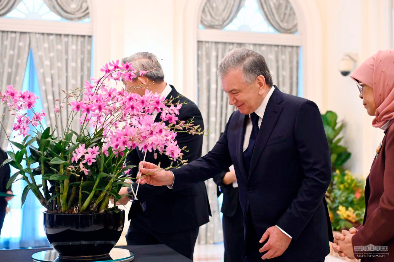 391a0211-643b-43c1-ab4c-0fd9948fe7d3