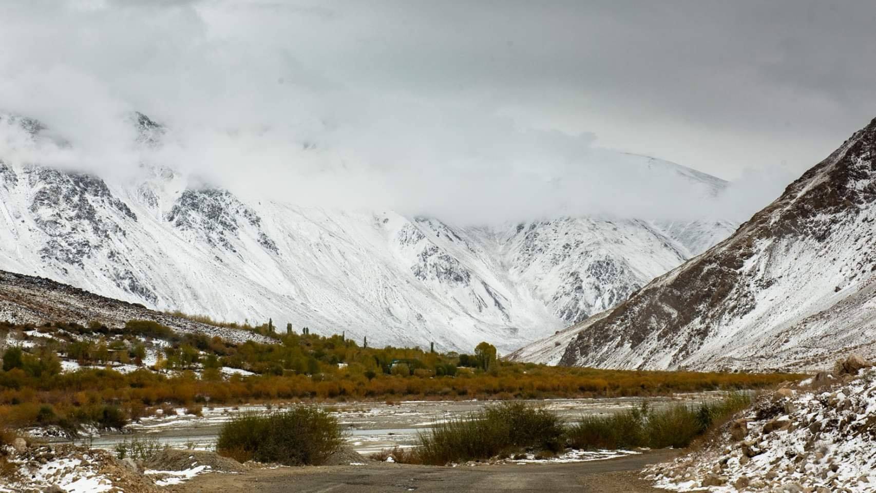 44390086_2211756838897913_6490182676497039360_n