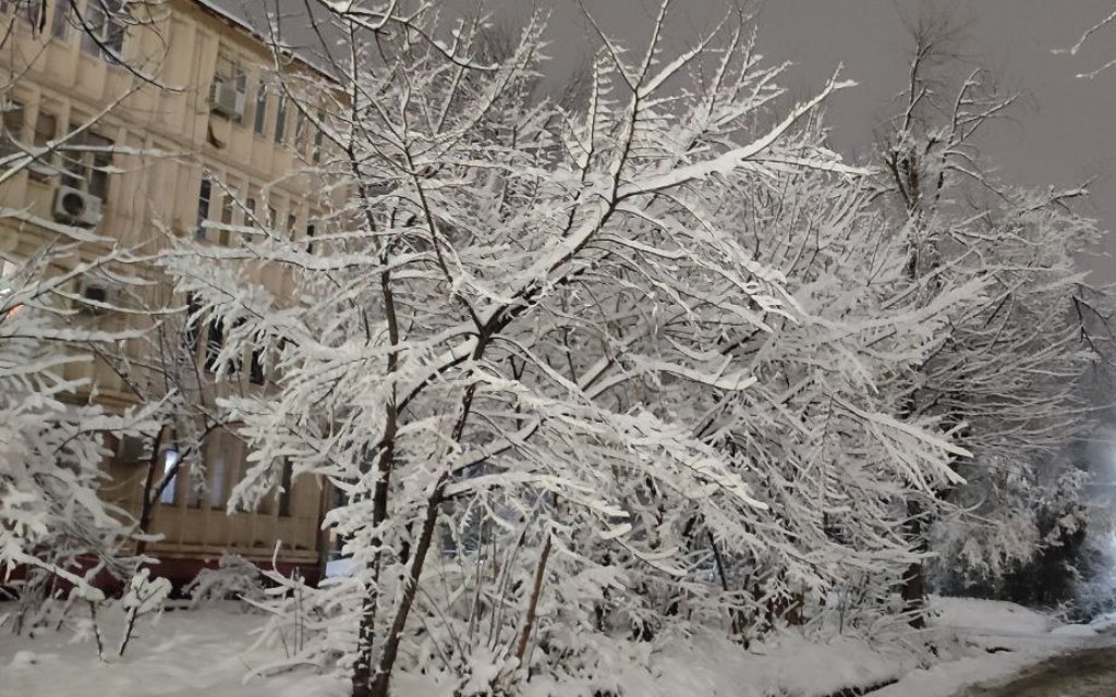 photo_2023-01-10_20-29-45