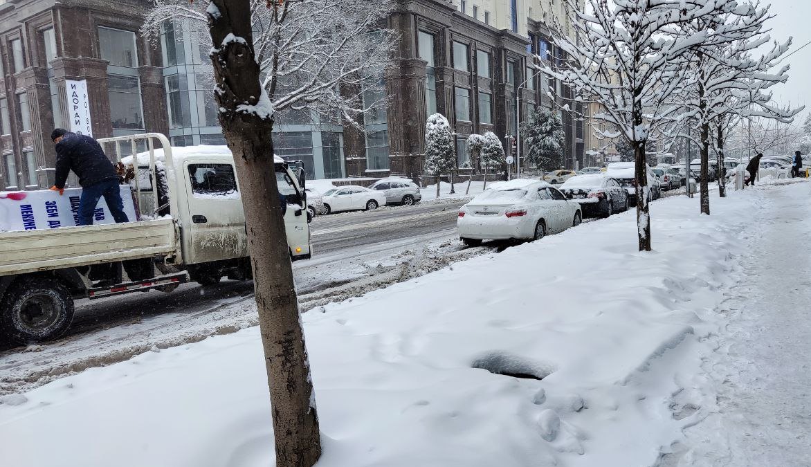 photo_2023-01-11_11-00-12