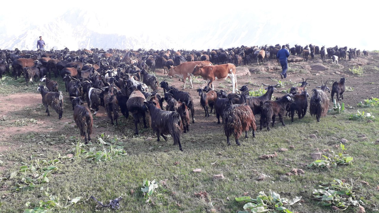 photo_2023-01-11_11-11-40