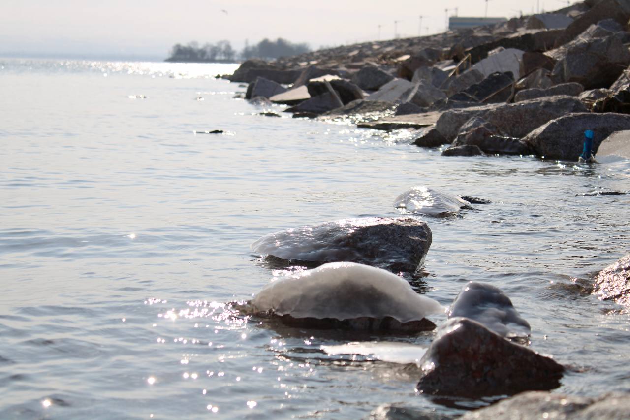 photo_2023-01-12_20-11-20