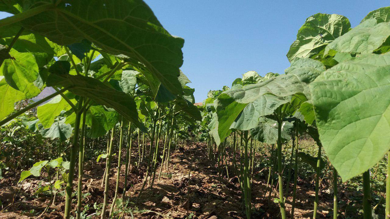 photo_2023-01-31_19-36-01