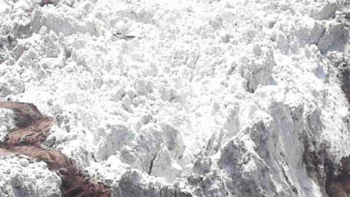 331434860_724848599344574_5833766894868771958_n