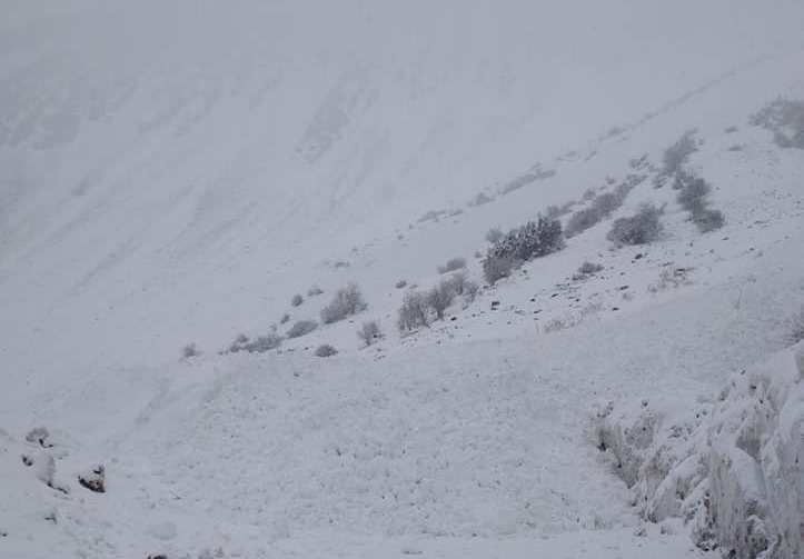 333059194_722502382953175_7060688791405497848_n