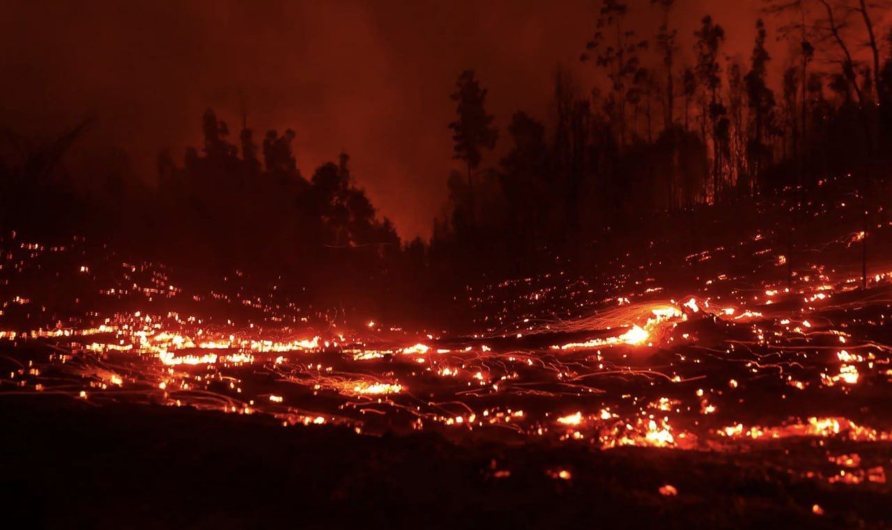 photo_2023-02-07_18-35-11
