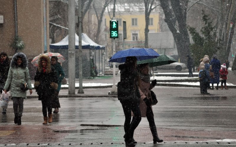 photo_2023-02-07_20-36-09