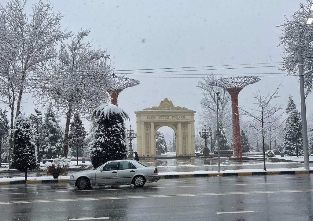 photo_2023-02-10_16-52-53