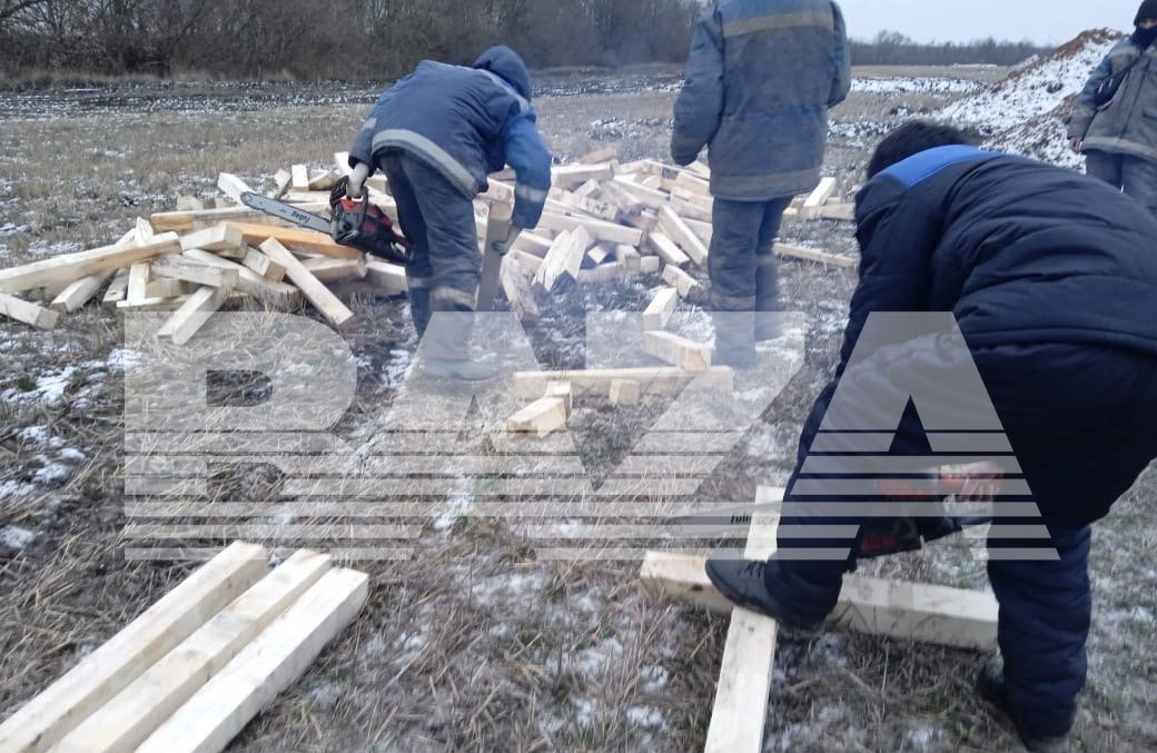 photo_2023-02-18_11-01-45