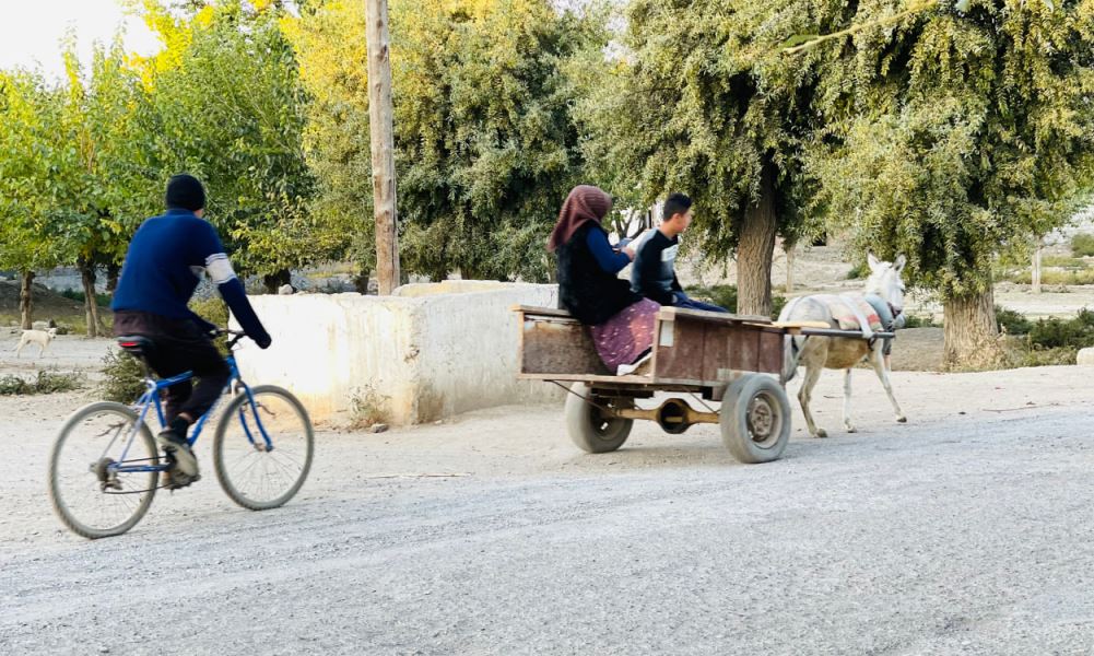 photo_2023-02-20_16-56-13