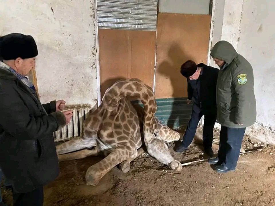 photo_2023-02-25_17-55-46