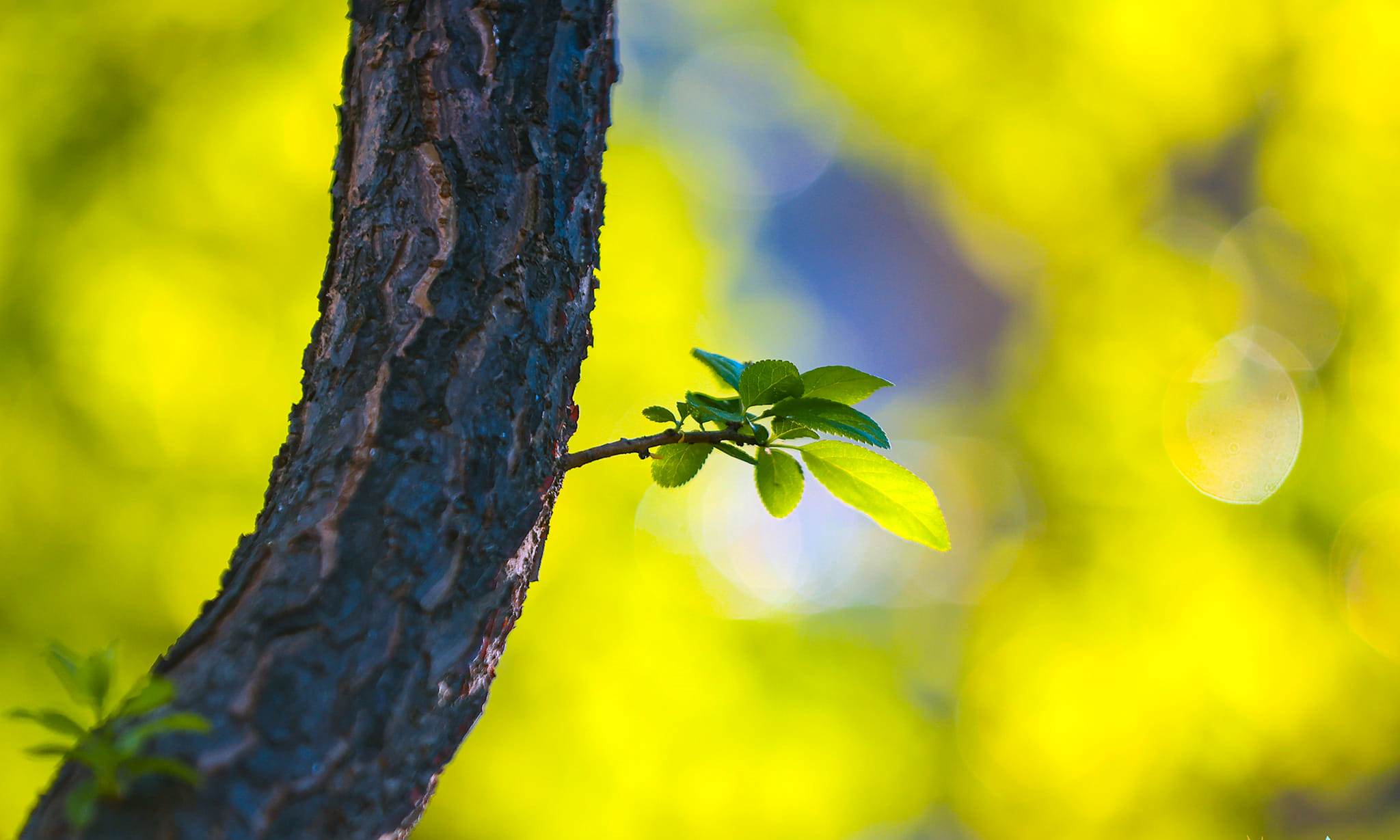 335676544_720836803160340_5339348451974606247_n