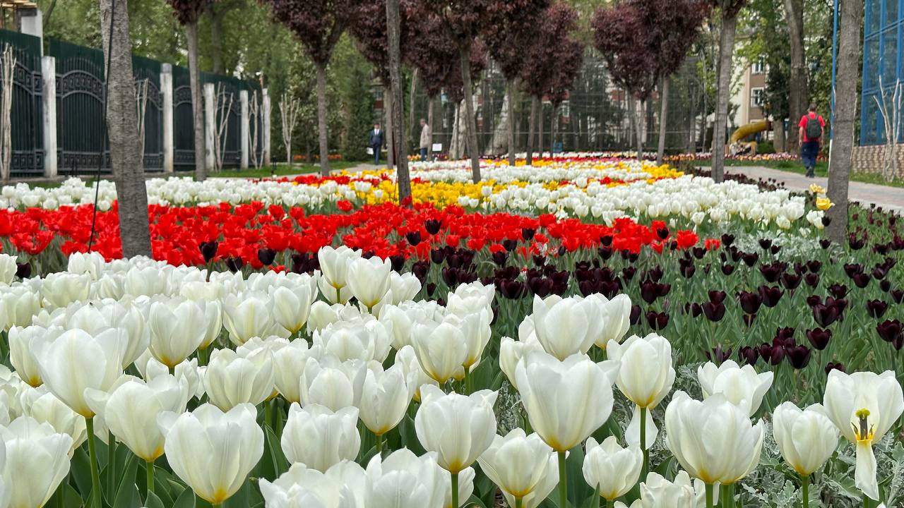 photo_12_2023-03-30_16-15-44