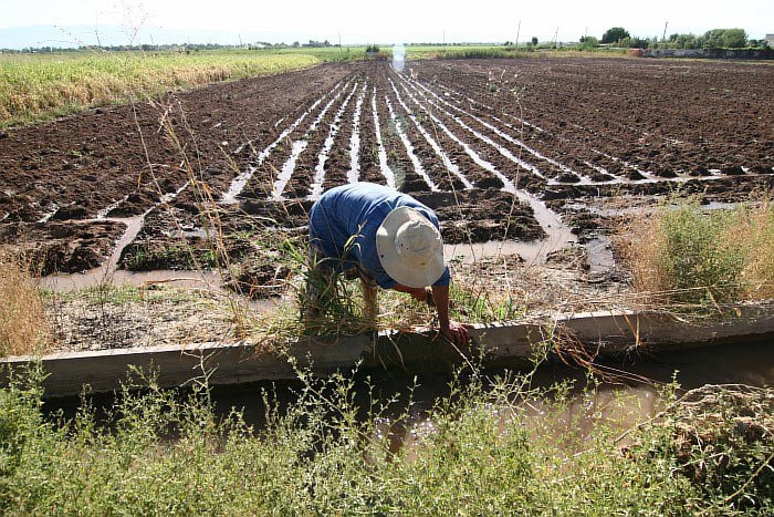 photo_2023-03-02_11-19-44