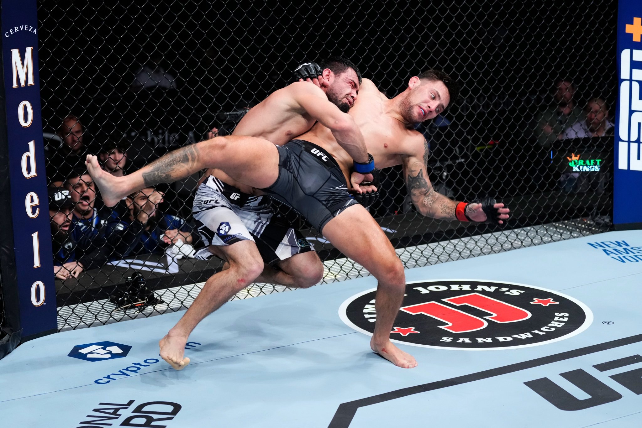 photo_2023-03-05_04-24-38