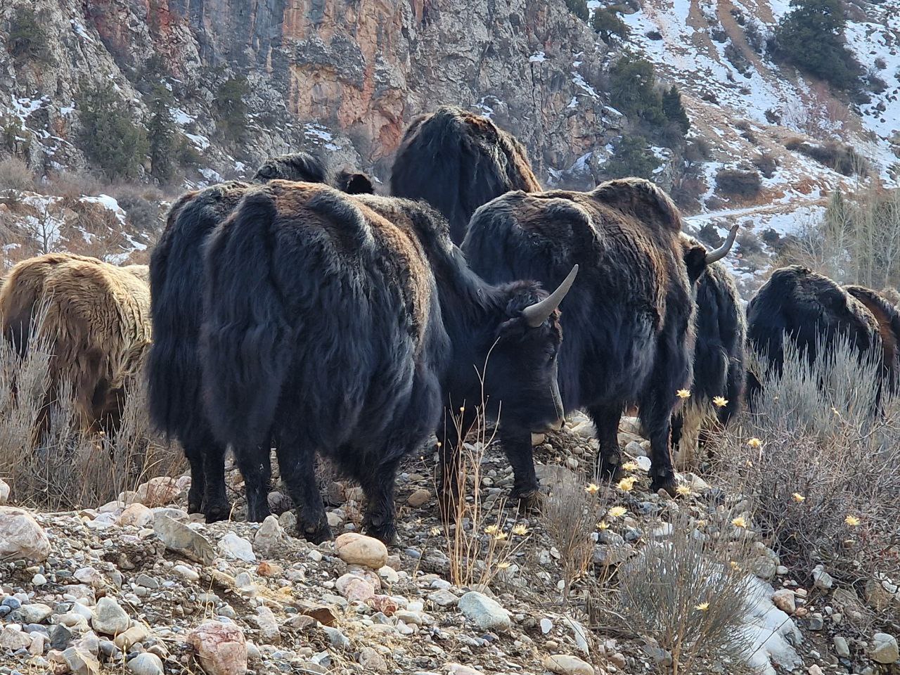 photo_2023-03-06_11-18-38