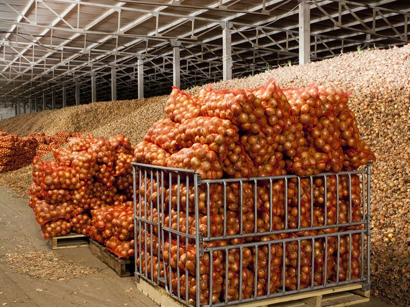 photo_2023-03-06_18-15-04