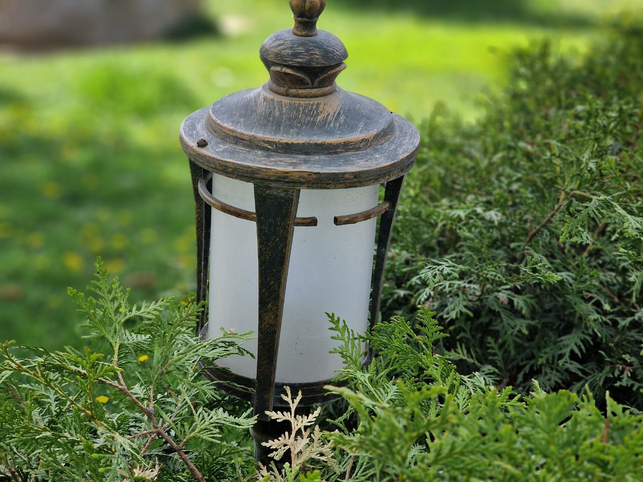 photo_2023-03-27_13-13-26