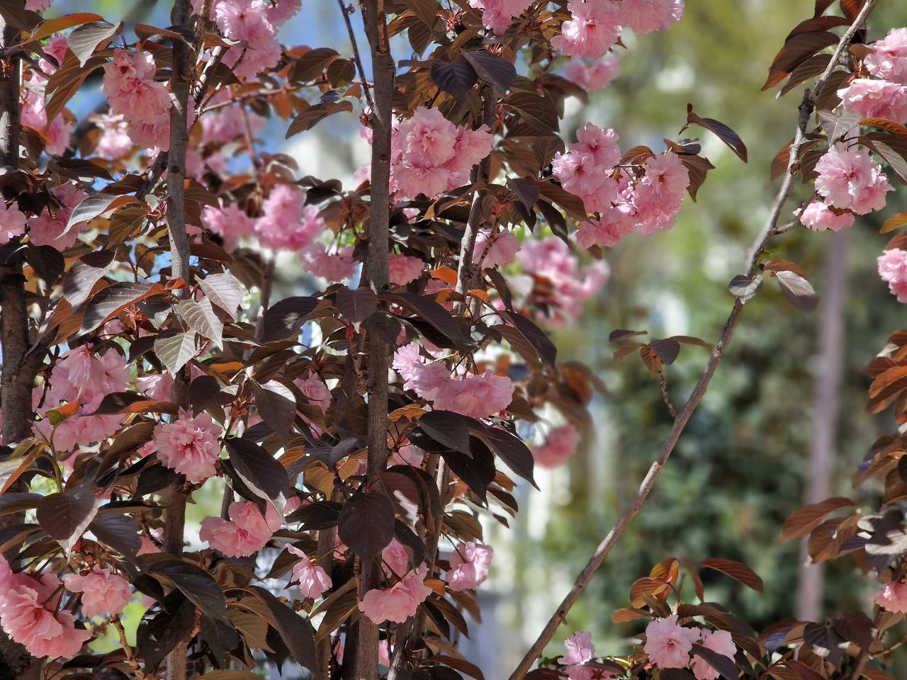 photo_2023-03-27_13-15-40