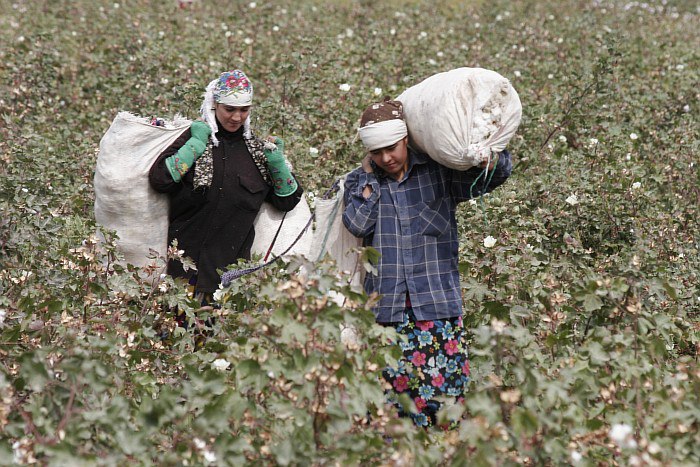 photo_2023-03-31_14-27-05