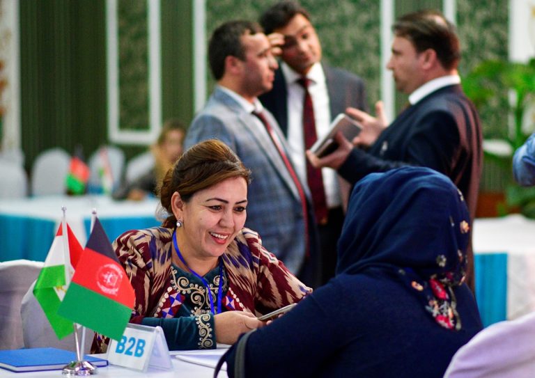 srednij-biznes-tadzhikistana-768x543