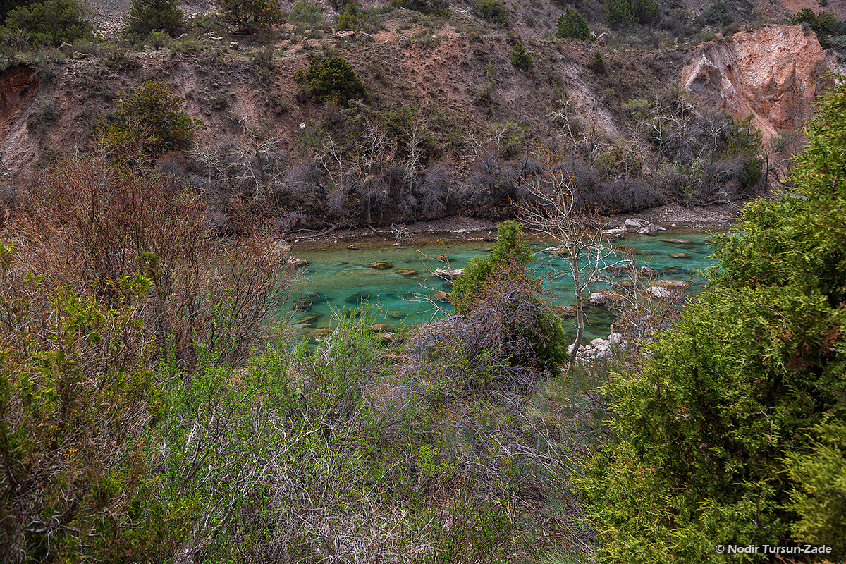 336901874_2117662491757069_8662321560157845215_n