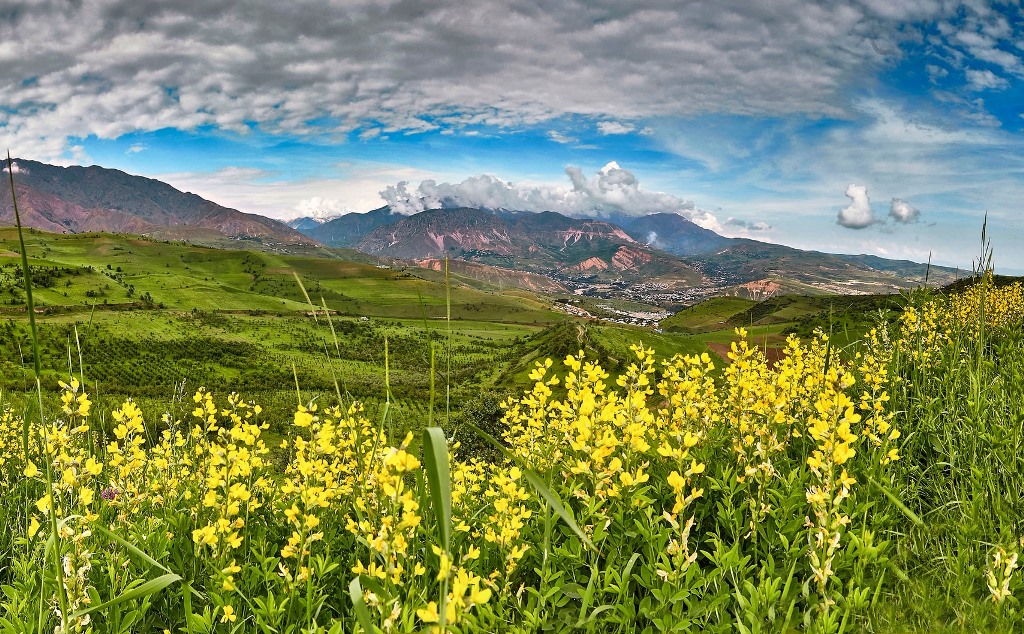 338963228_593887192791365_725416790827472556_n