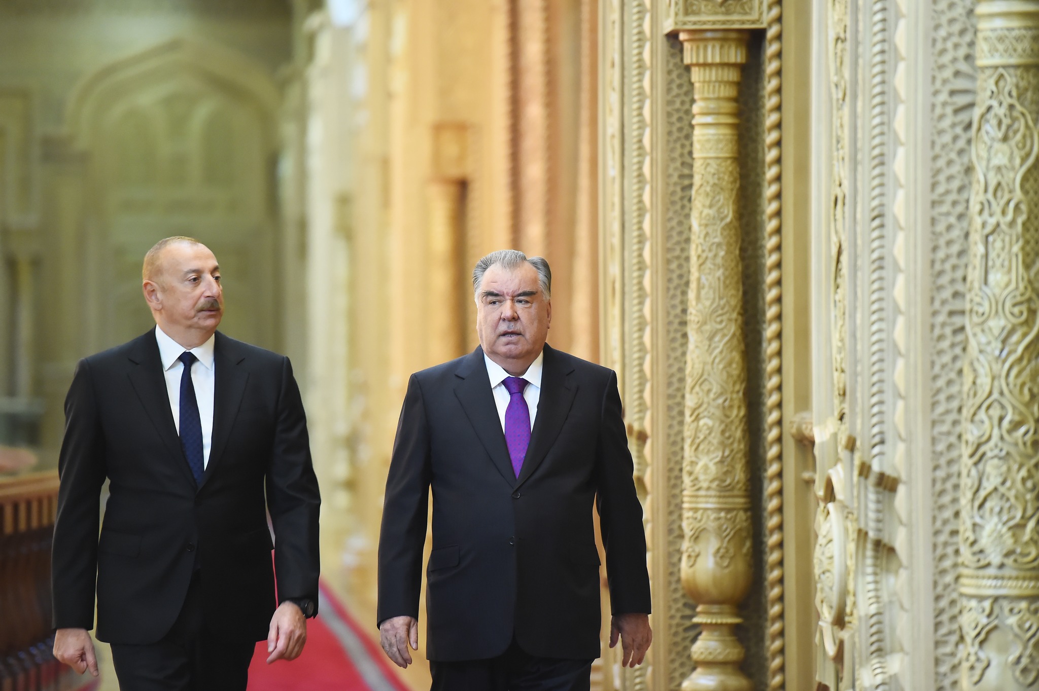 339118741_932054598111796_150771539749048776_n