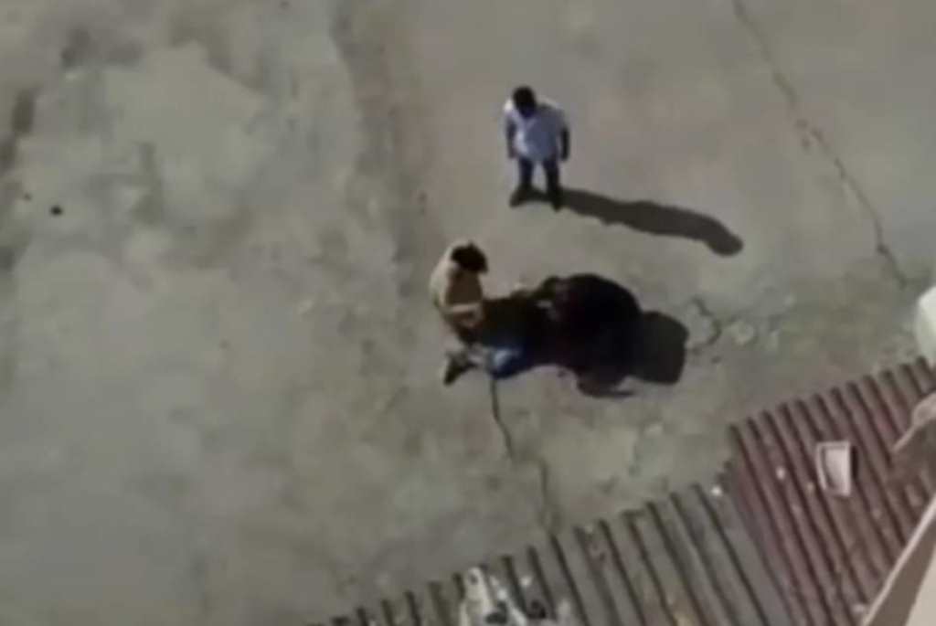 339255912_165052413112247_3600698425373127772_n