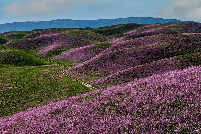 339404293_264369839252245_1813625251683911449_n