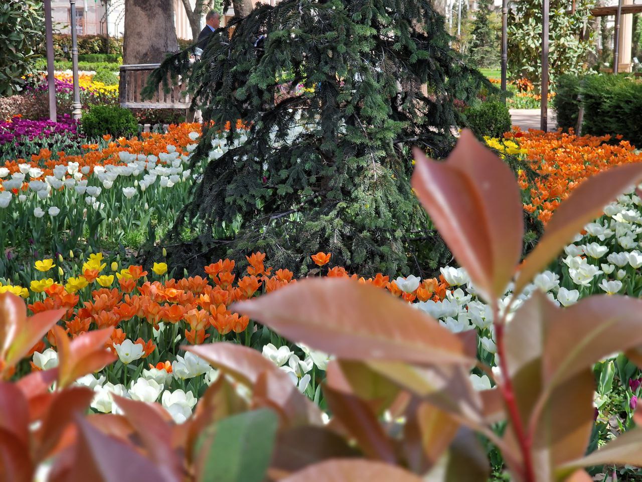 photo_2023-03-27_13-13-27