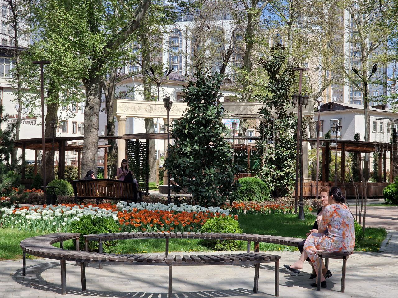 photo_2023-04-02_12-50-32