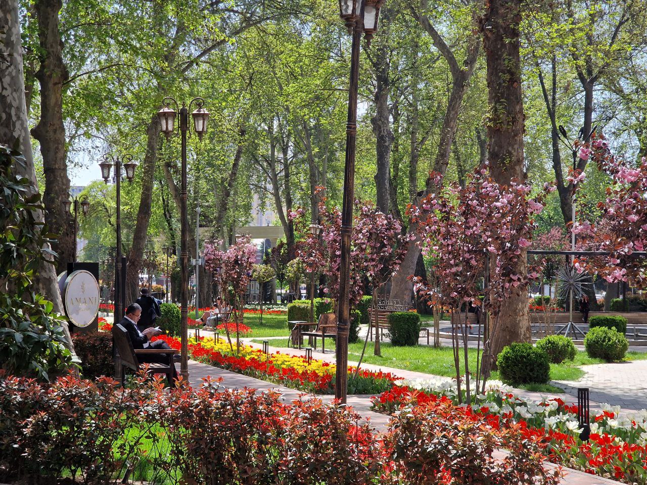 photo_2023-04-06_20-04-29