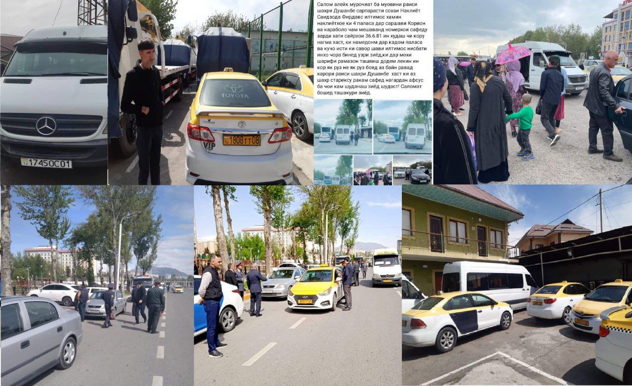 photo_2023-04-08_10-23-32