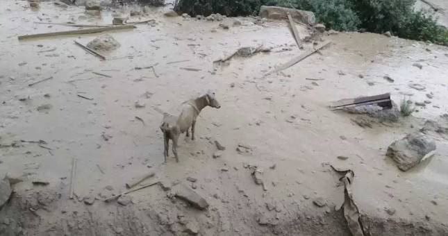 photo_2023-04-10_18-45-37