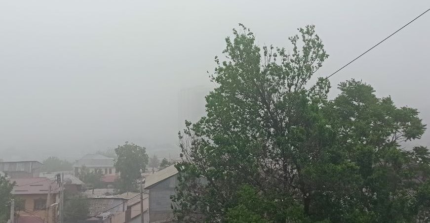 photo_2023-04-15_11-05-48