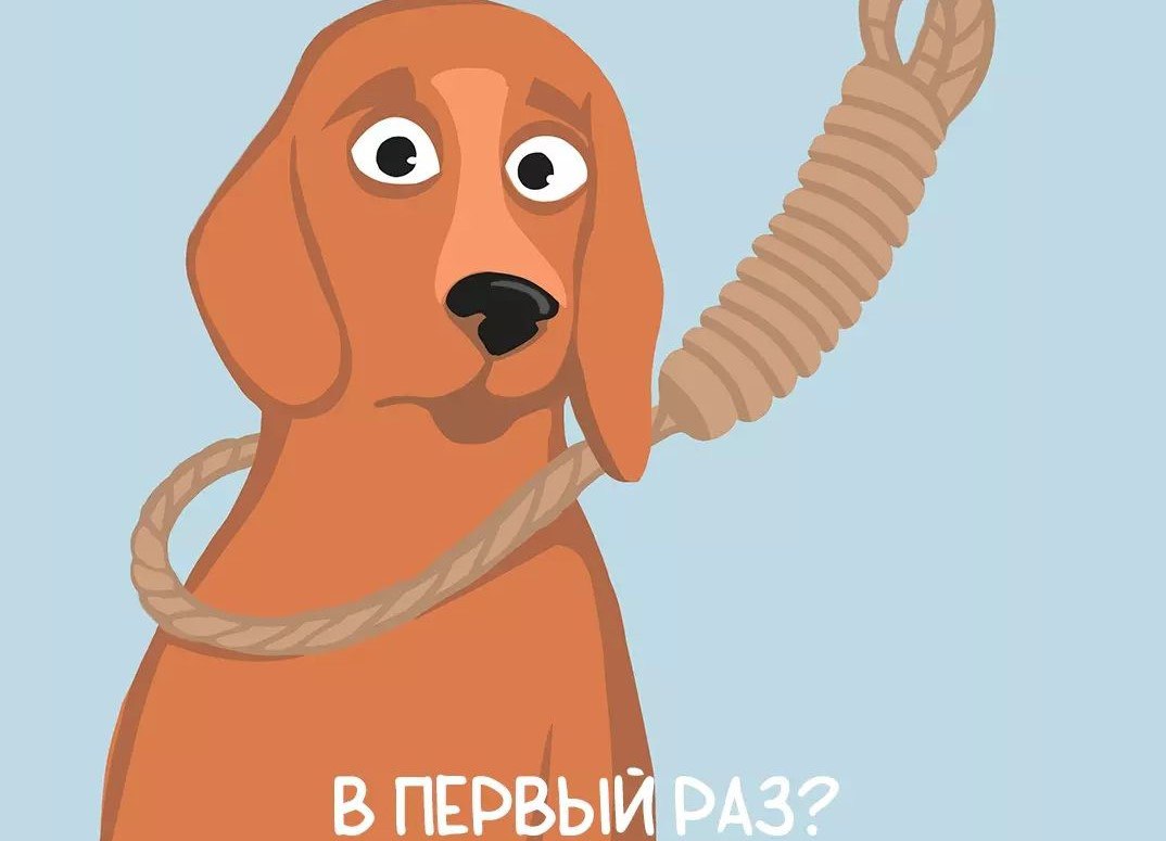 photo_2023-04-17_18-46-13