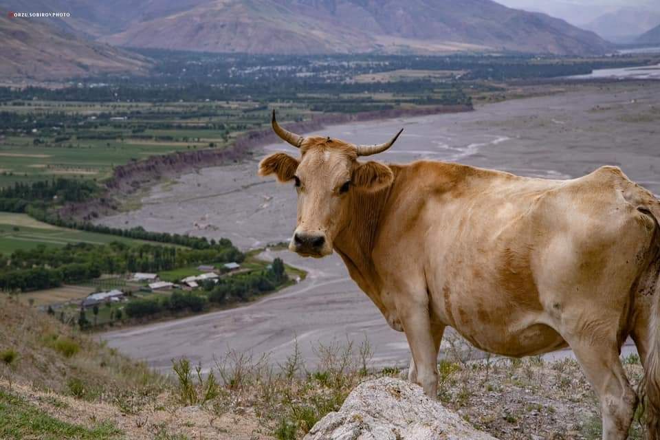 photo_2023-04-18_18-06-03