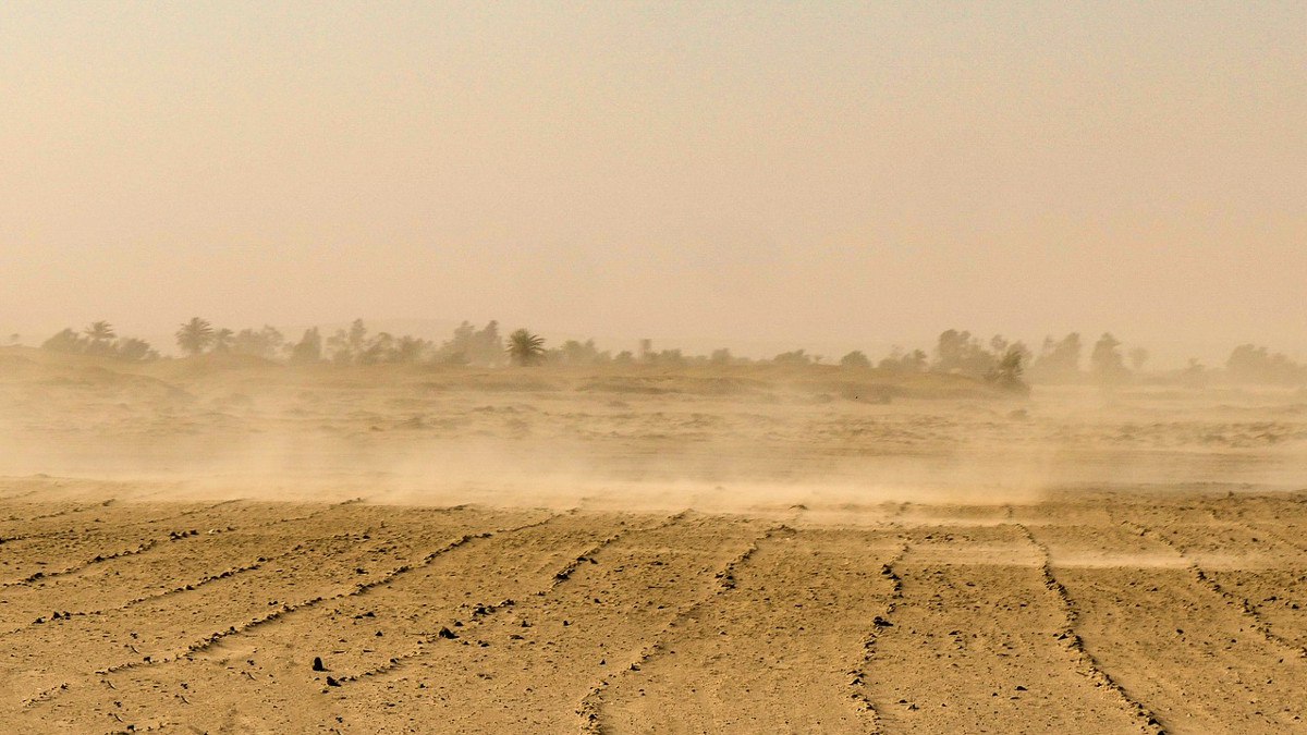 photo_2023-04-19_08-39-12