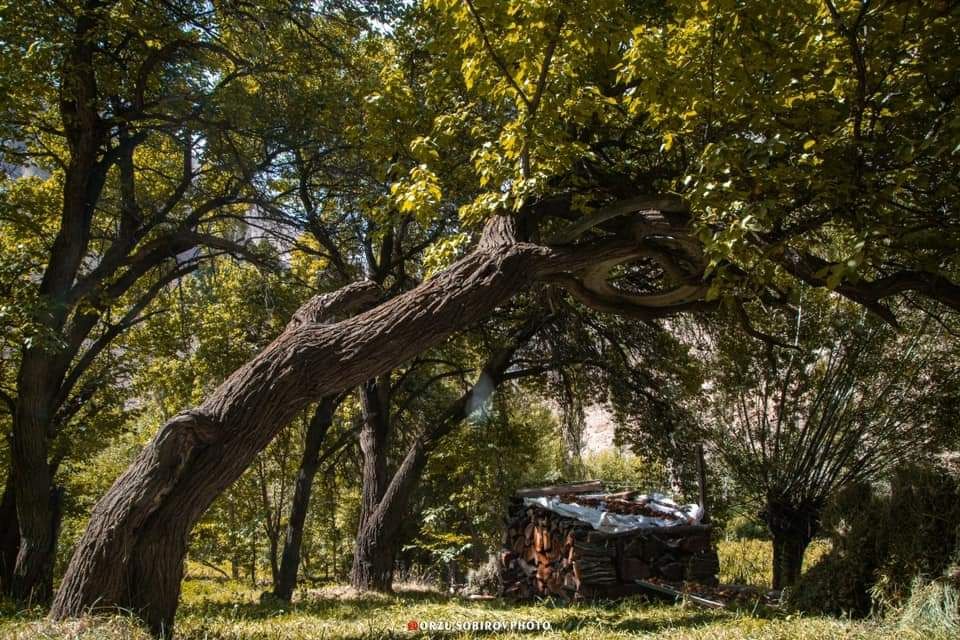 photo_2023-04-24_19-39-14