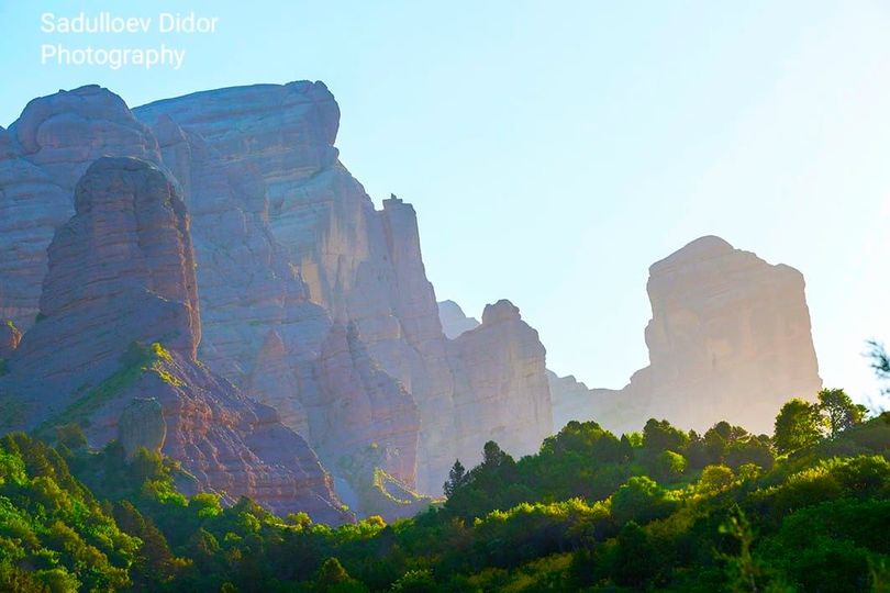 95227676_2859078854220965_5559432232315125760_n