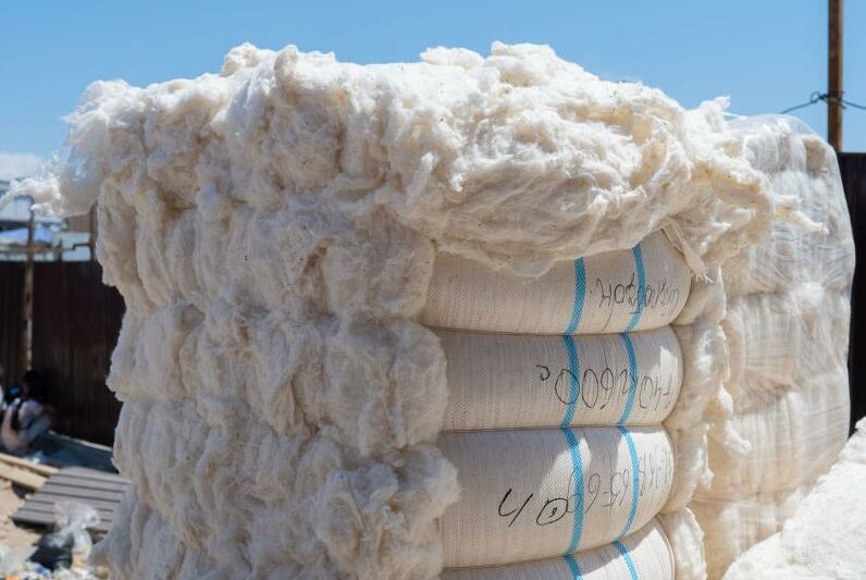 hlopok-na-eksport-aspect-ratio-760-508