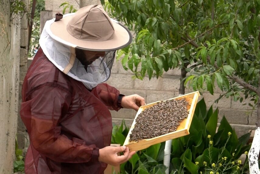 Pchelovod-Bobodzhanov-1-aspect-ratio-760-508