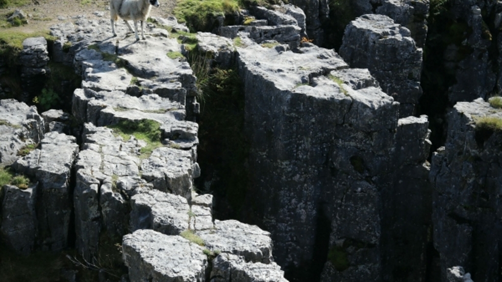 tim-johnson-ywiz8zyxzwu-unsplash-scaled