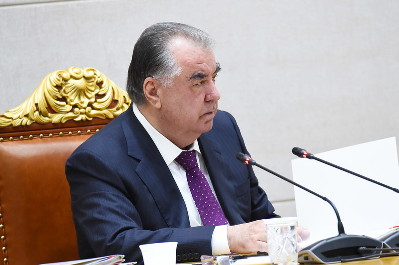 53010308504_e14281fe12_c