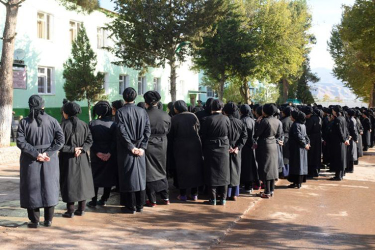 96d9739a-48bf-421e-9380-a8c62b555e8f