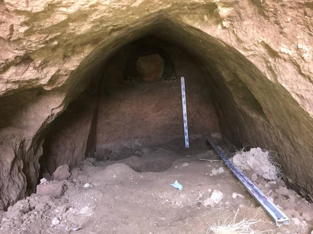 img_20230606_224210_151